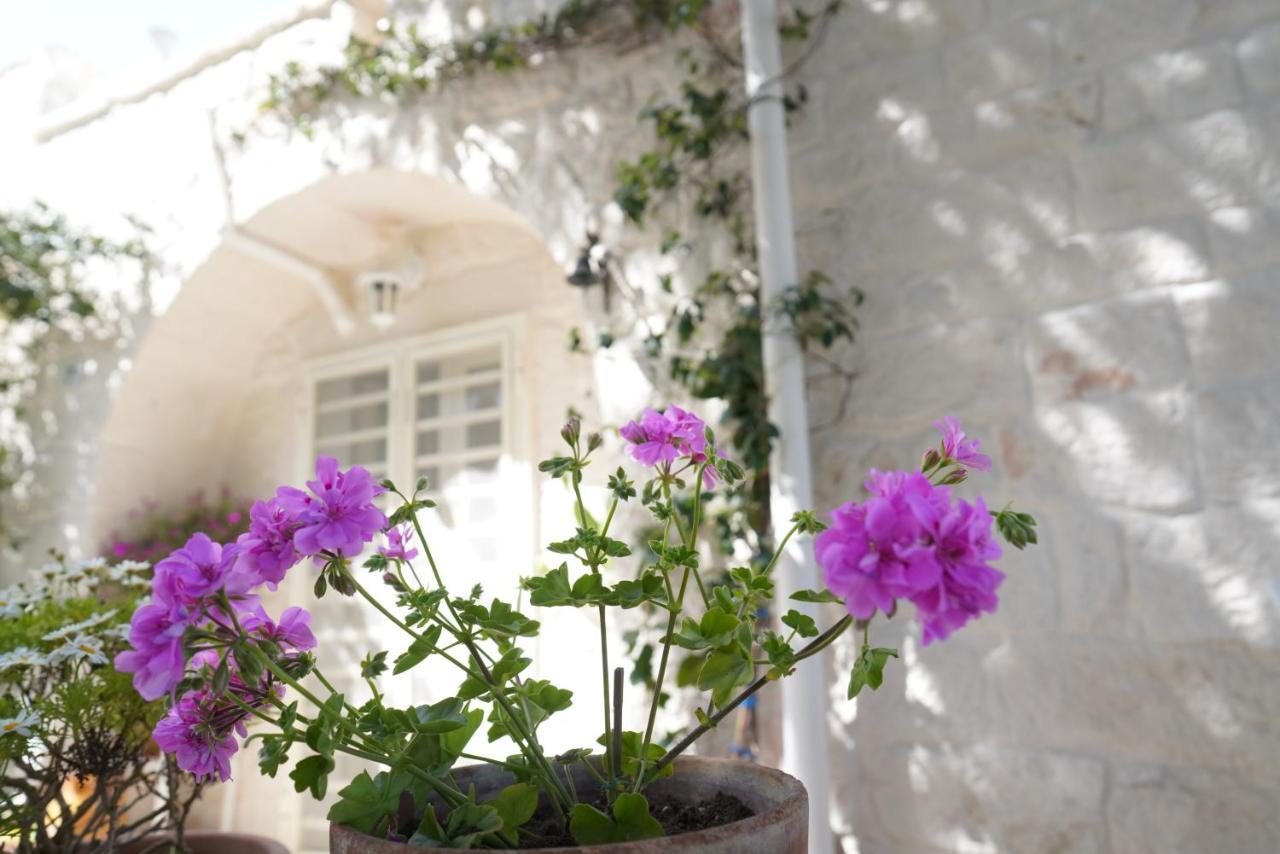 Trulli Di Puglia - Casa Vacanze In Valle D'Itria Мартина-Франка Экстерьер фото