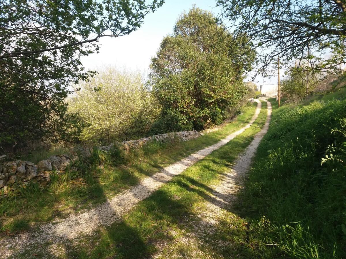 Trulli Di Puglia - Casa Vacanze In Valle D'Itria Мартина-Франка Экстерьер фото