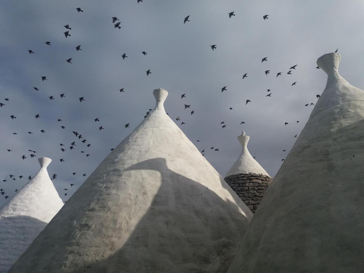 Trulli Di Puglia - Casa Vacanze In Valle D'Itria Мартина-Франка Экстерьер фото