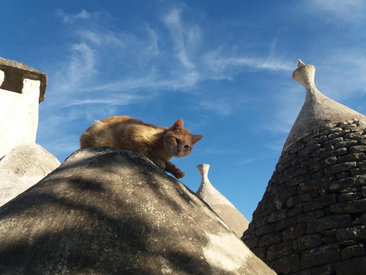 Trulli Di Puglia - Casa Vacanze In Valle D'Itria Мартина-Франка Экстерьер фото