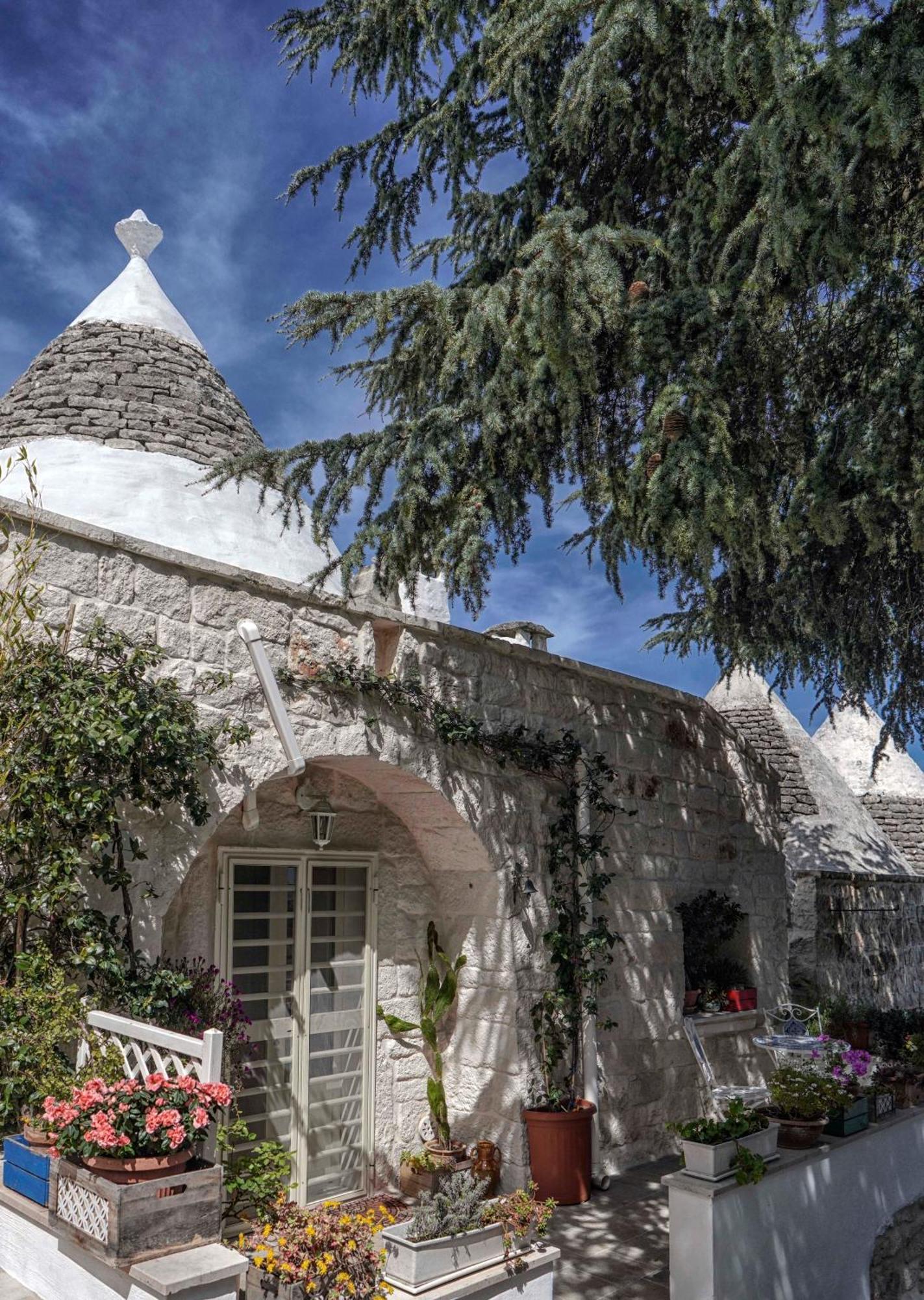 Trulli Di Puglia - Casa Vacanze In Valle D'Itria Мартина-Франка Экстерьер фото